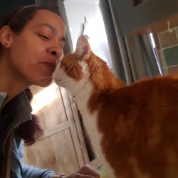 ginger and white cat Whisky kissing Michelle